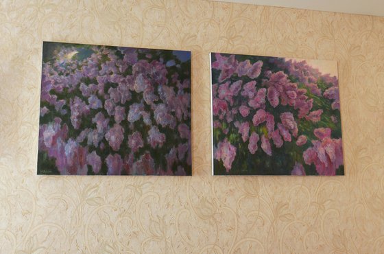 Lilacs Fading Into Light