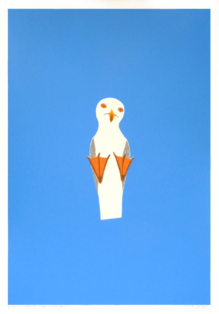 Seagull on Skylight by Simon Tozer