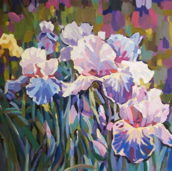 irises