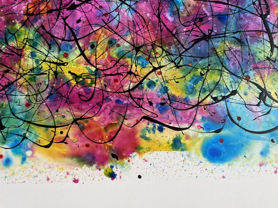 Echoes of the Rainbow