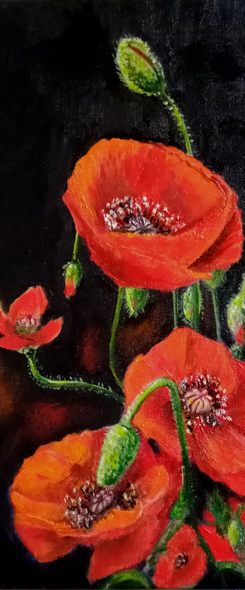 Red Poppies by Ira Whittaker