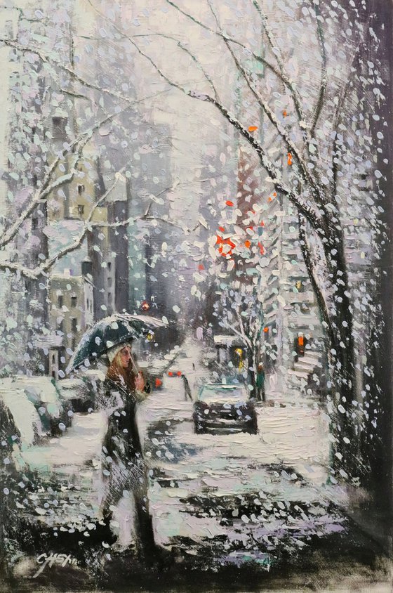 The White Snow in Upper Manhattan