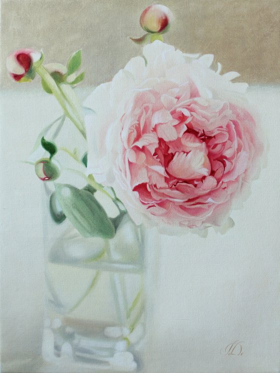 etude. peony in a glass