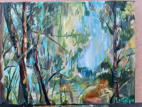 Illuminated by the Sun. Forest