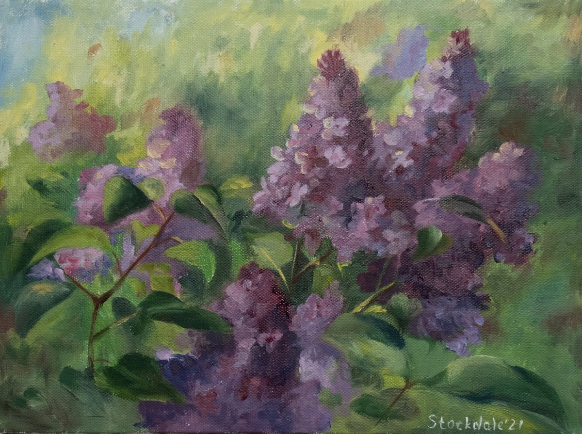A study of a lilac by Maria Stockdale
