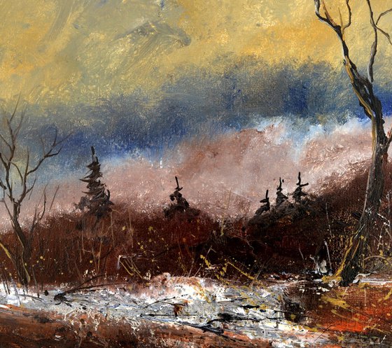 Moonshine in winter