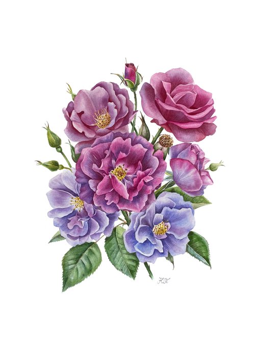 Rose ‘Rhapsody in Blue’ botanical painting by Ksenia Tikhomirova