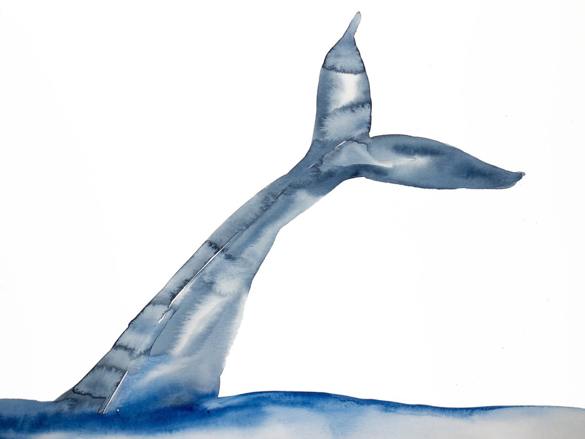 Whale No. 5 by Elizabeth Becker