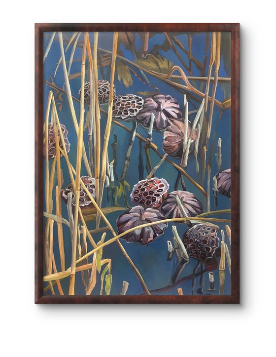 Lotus pond.Pods