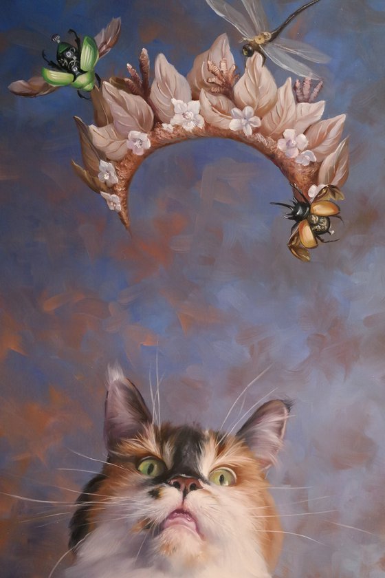 "Between the sky and the purr"