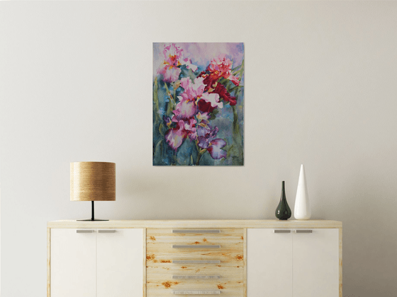 Colorful irises
