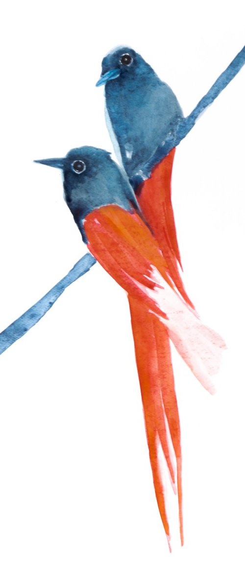 Bird by Nadia Moniatis