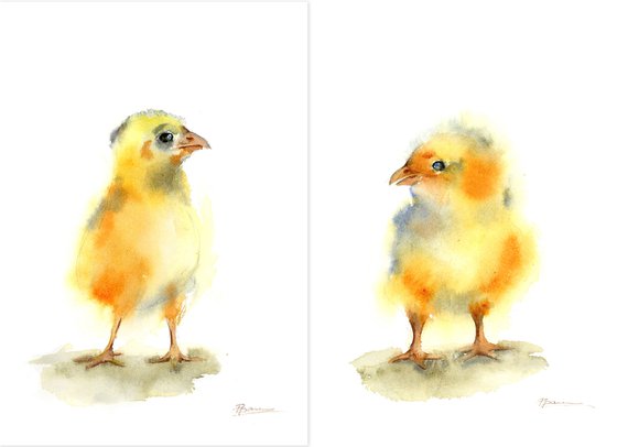 Set of 2 baby Chick