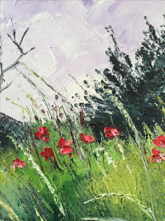 Meadow and poppies