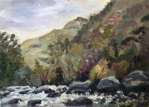 Mountain stream at Aberglaslyn, Snowdonia. An original painting. by Julian Lovegrove Art