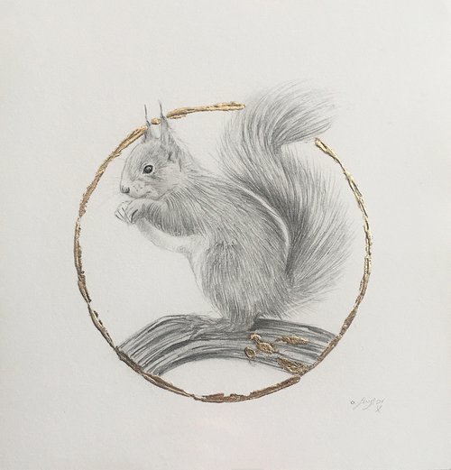 Squirrel drawing by Amelia Taylor