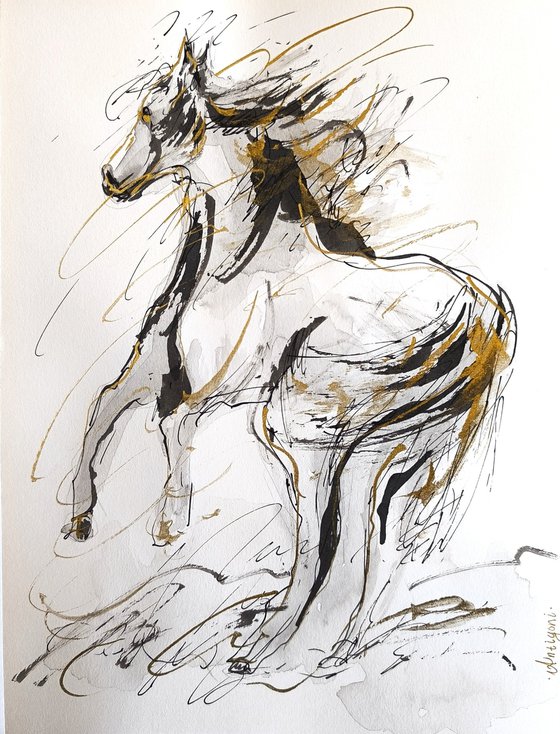 Equine Poetry Series