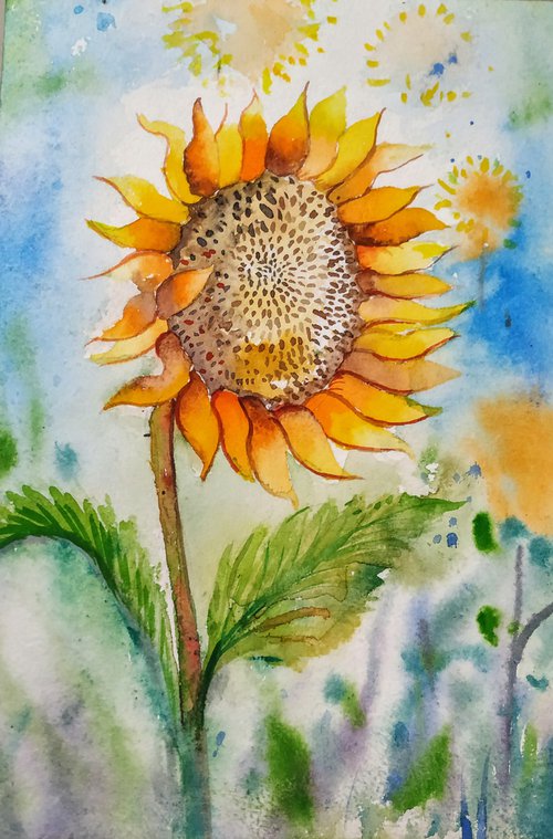 Life of Sunflower by SANJAY PUNEKAR