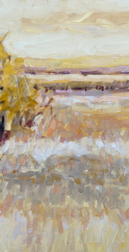 Yellow Day by Chrissie Havers