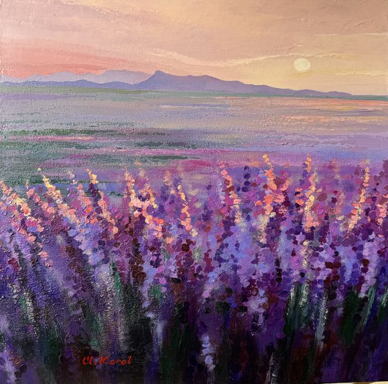 Blushing lavender morning