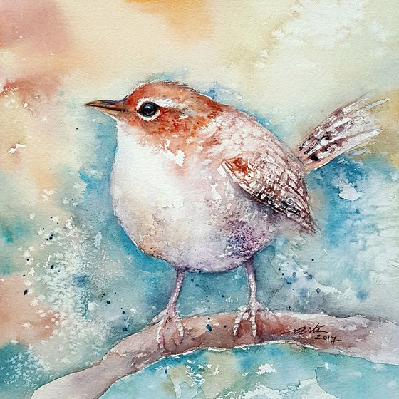 Little Wren