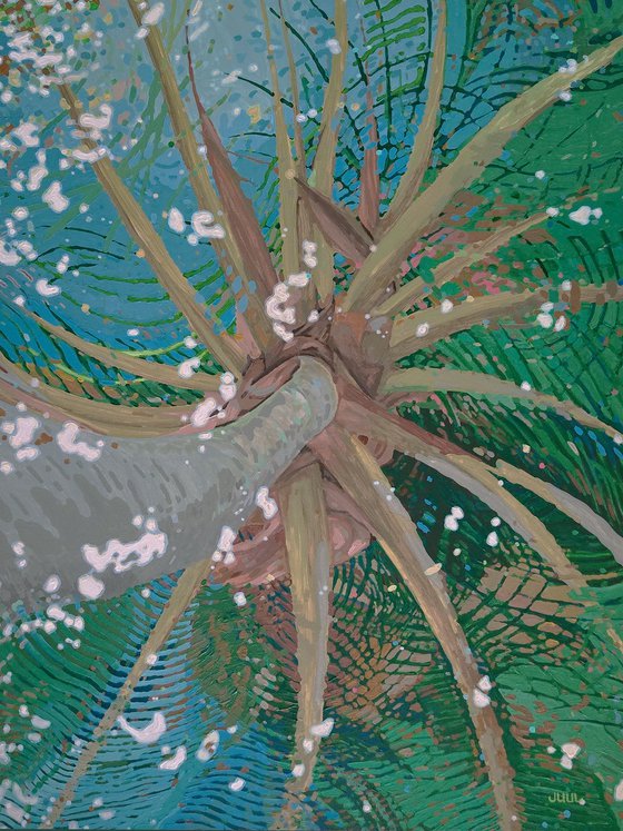 Palm Reflections- Calm Lake