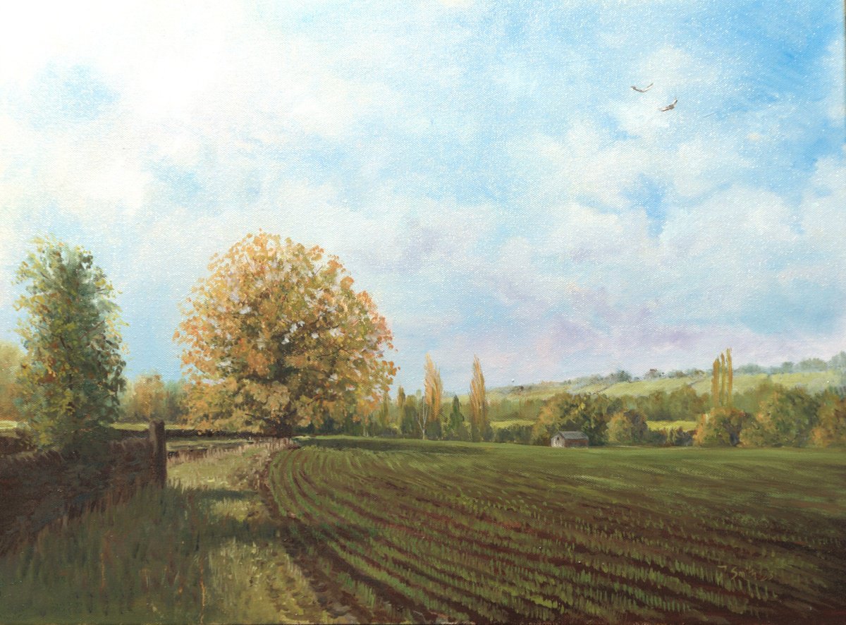 Jonathan Smith | Original Oil Painting | Farnley Park - Early Autumn | 60 X 45Cm | Artwork For Sale On Artfinder
