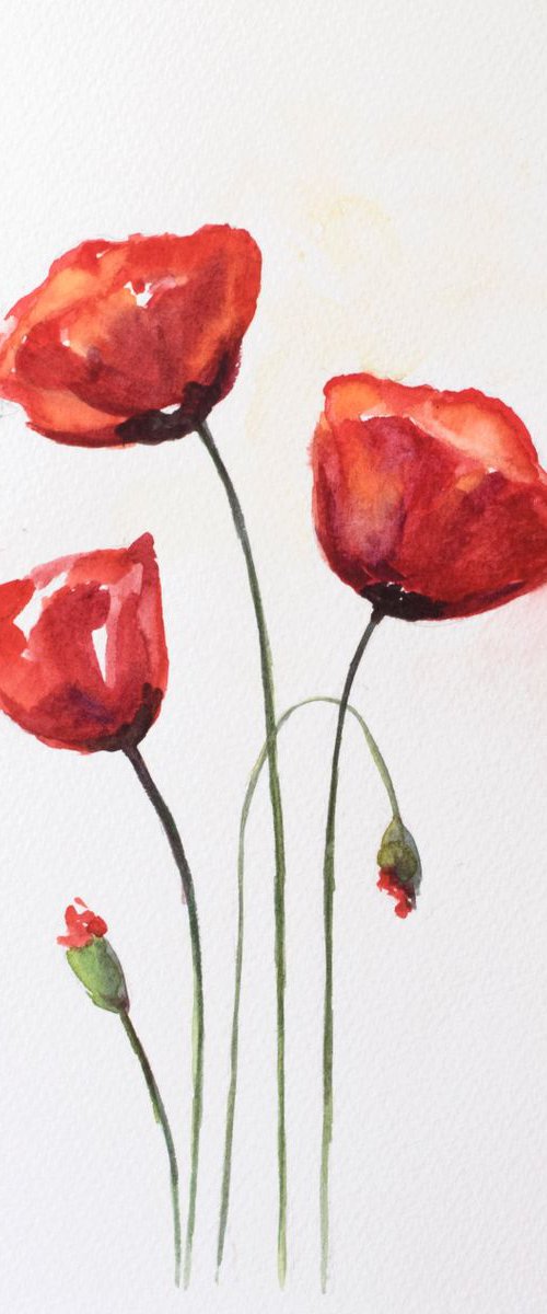 Red Poppies by Shilpi Sharma