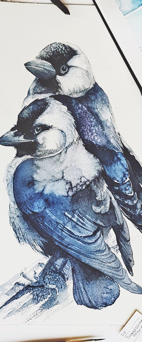 Jackdaw, black bird, wildlife watercolour by Karolina Kijak