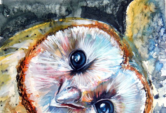 Barn owl