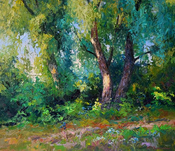 Willows in the summer forest