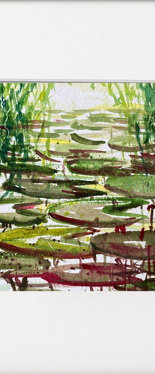 Waterlily Pond by Teresa Tanner