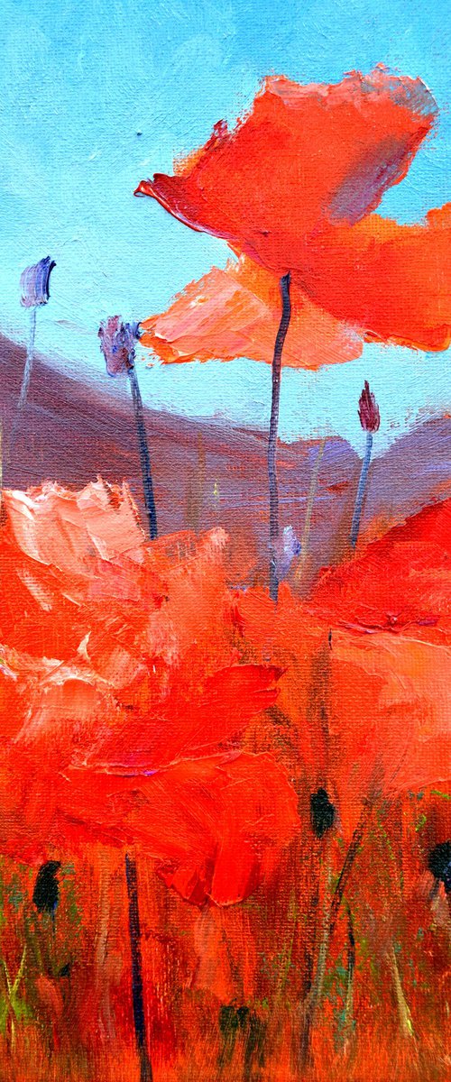 Coral Poppies 30Х21 by Elena Lukina