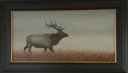Royal Stag Walking through the Moors by Alex Jabore