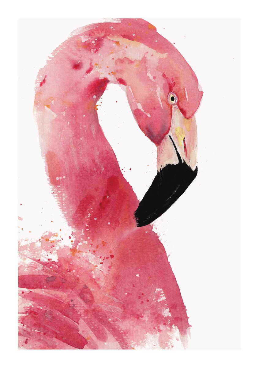 Pink Flamingo Watercolour Giclee Art Print A4 by Kelsey Emblow