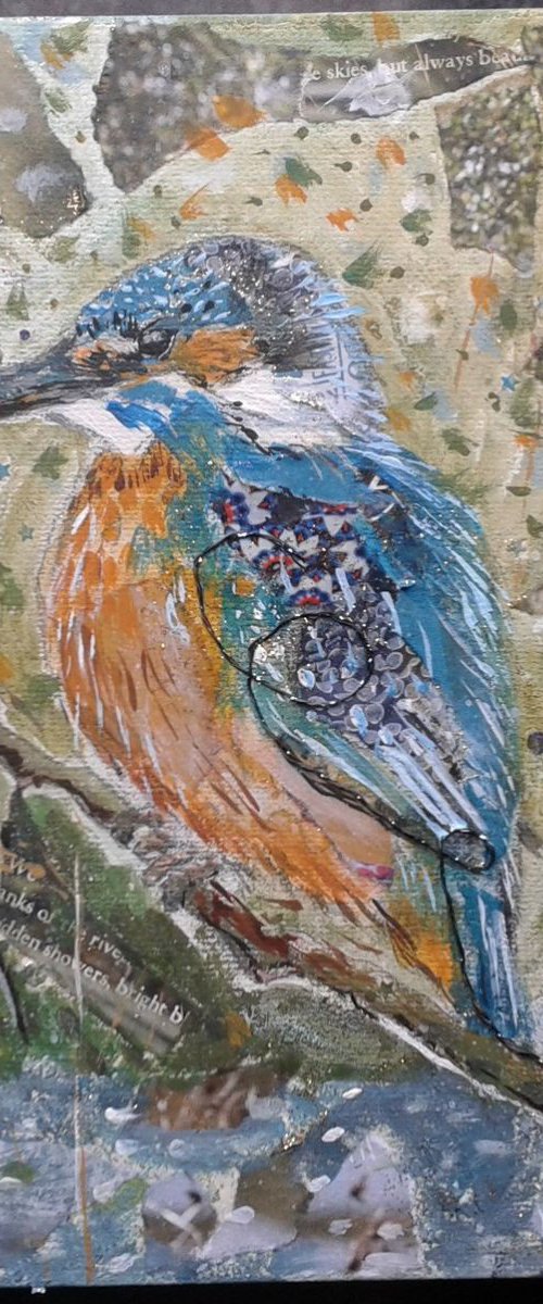 Kingfisher by Fiona Plaisted