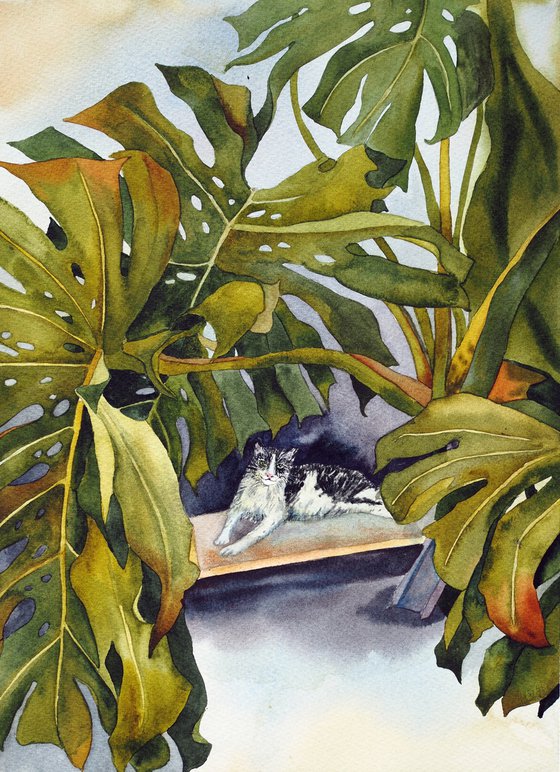 Сat and monstera leaves