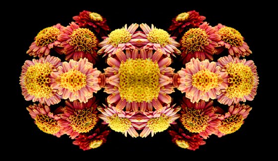 Floral UFO