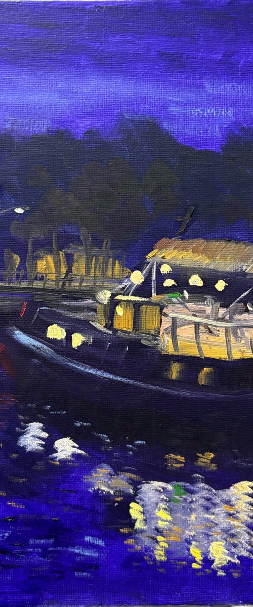 Nighttime Dutch canal boat by Dmitry Fedorov