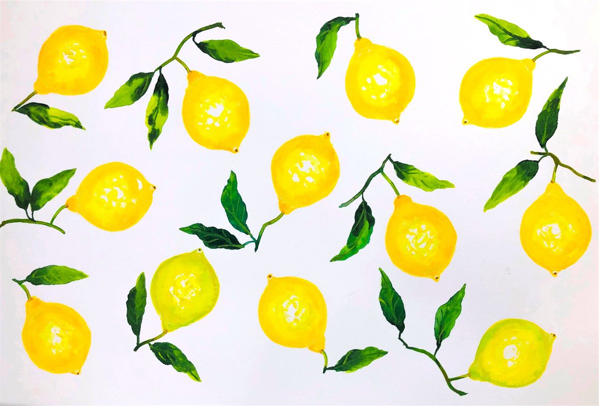 Illustrative Still Life Drawing By Lena Smirnova, 18 X 12", Winter Time Is Lemon