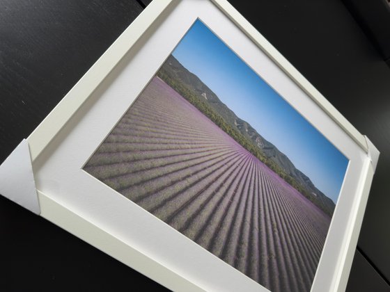 PROVENCE LANDSCAPE