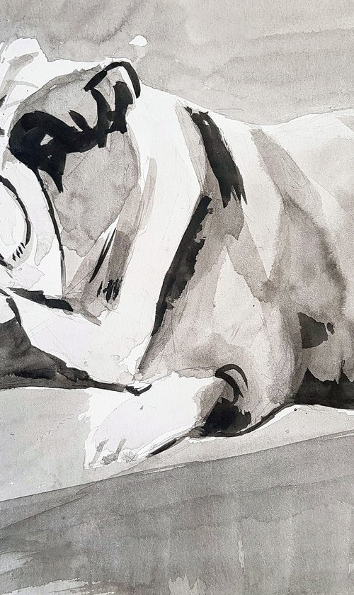 lying bulldog by Leonid Kirnus