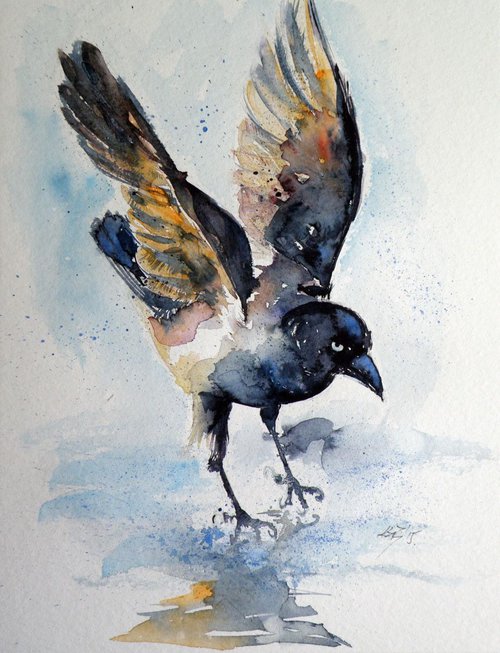 Crow on ice by Kovács Anna Brigitta