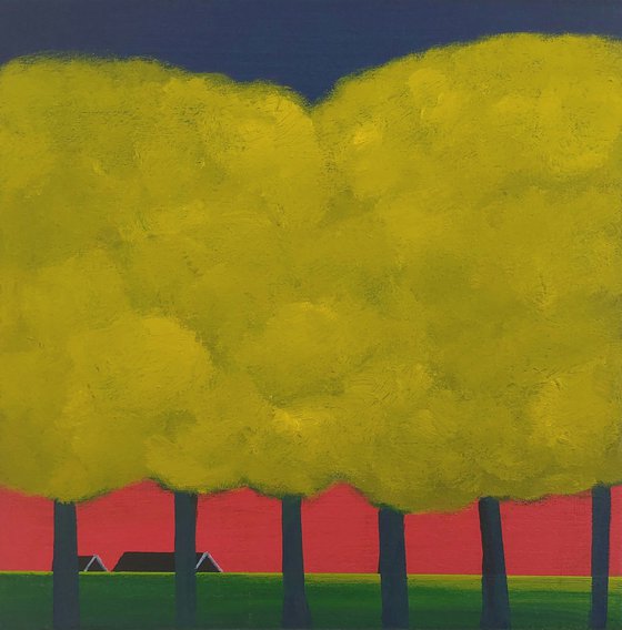 Mondriaan in the polder (4)