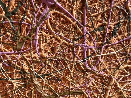 Waves of Tender Light