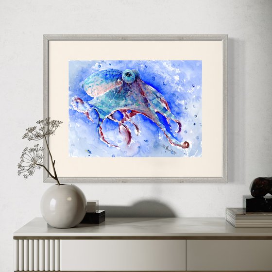 Octopus