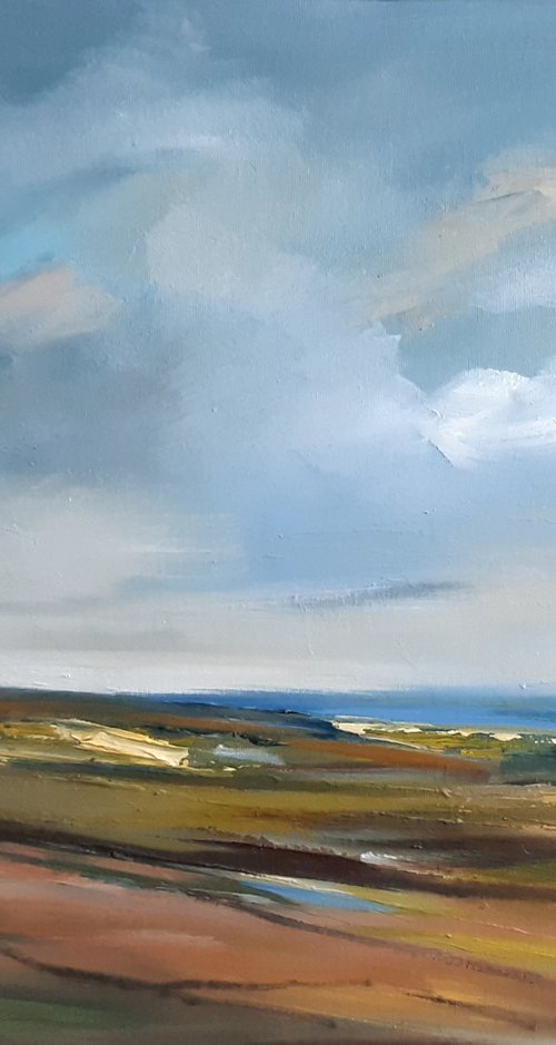 Thurstaston Common by Steve Keenan