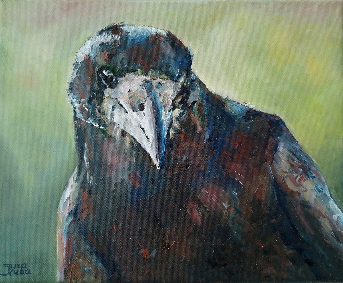 Portrait Of The Raven by Jura Kuba Art