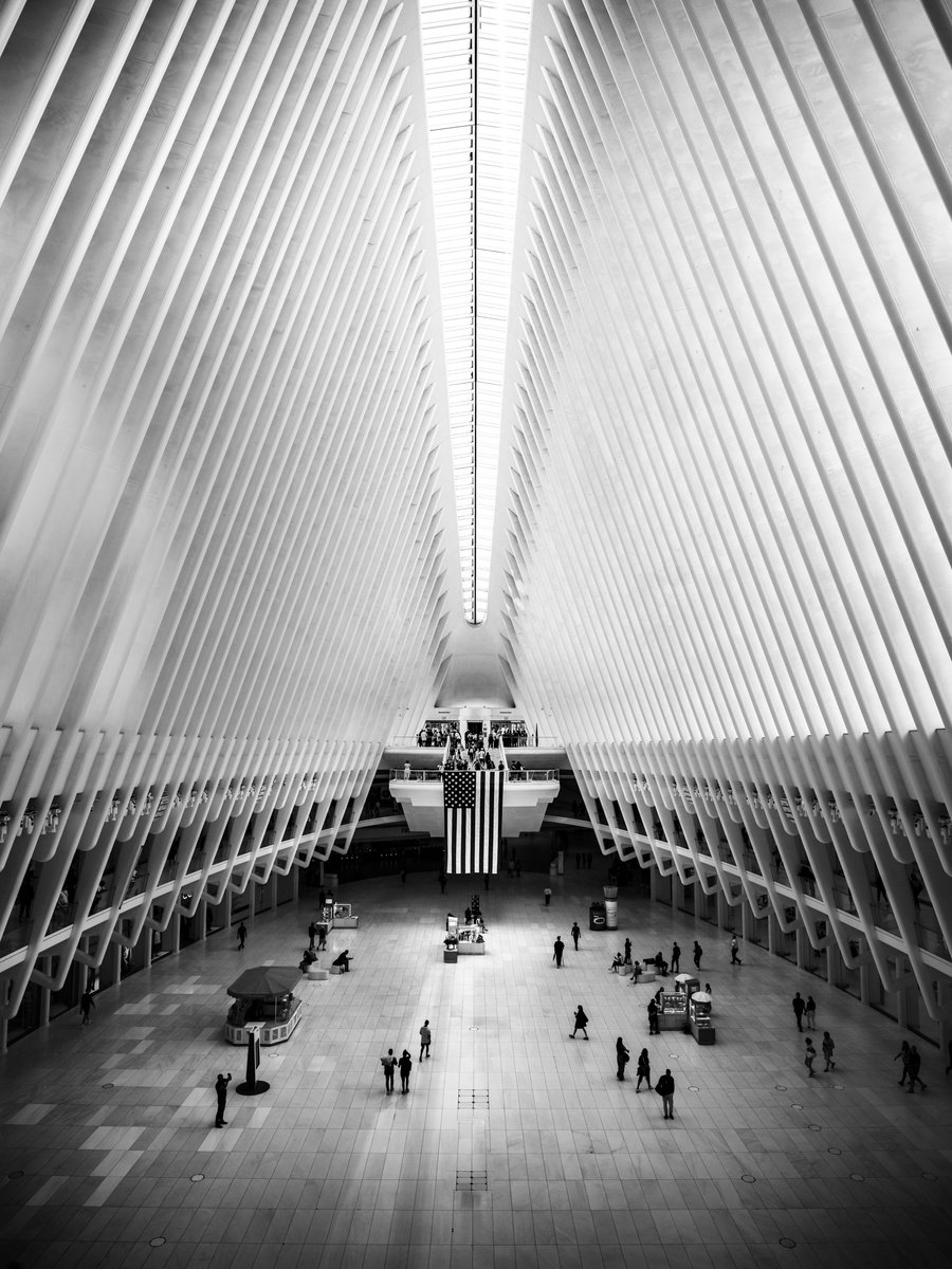 THE OCULUS by Harv Greenberg