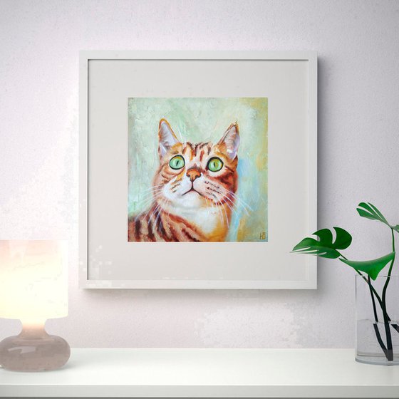 Tabby Cat Portrait